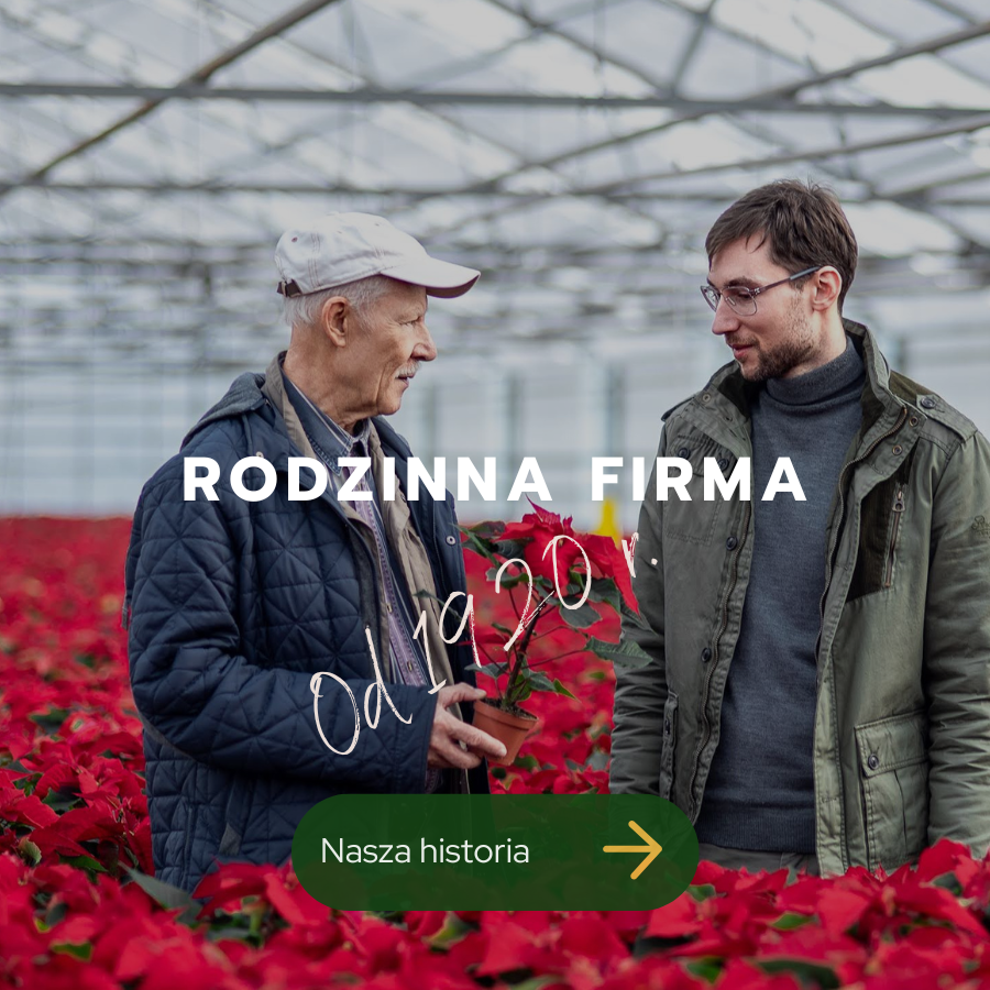 Rodzinna firma